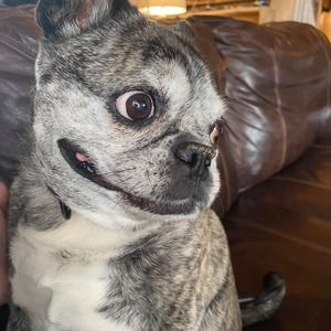 Meet your Posher, Meghan